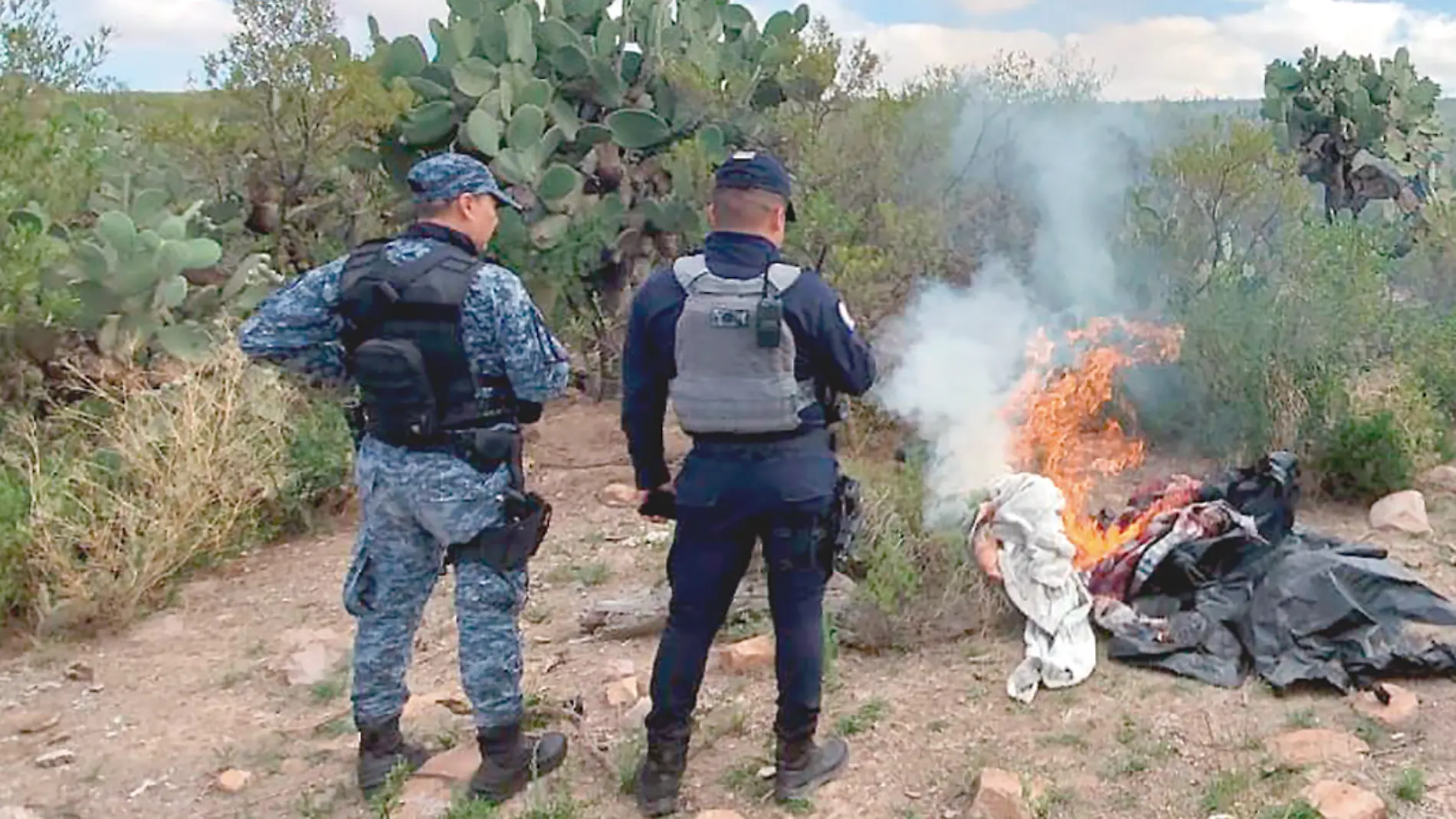 Elementos de la Secretaría de Seguridad Pública destruyeron un campamento delincuencial en Jerez, Zacatecas